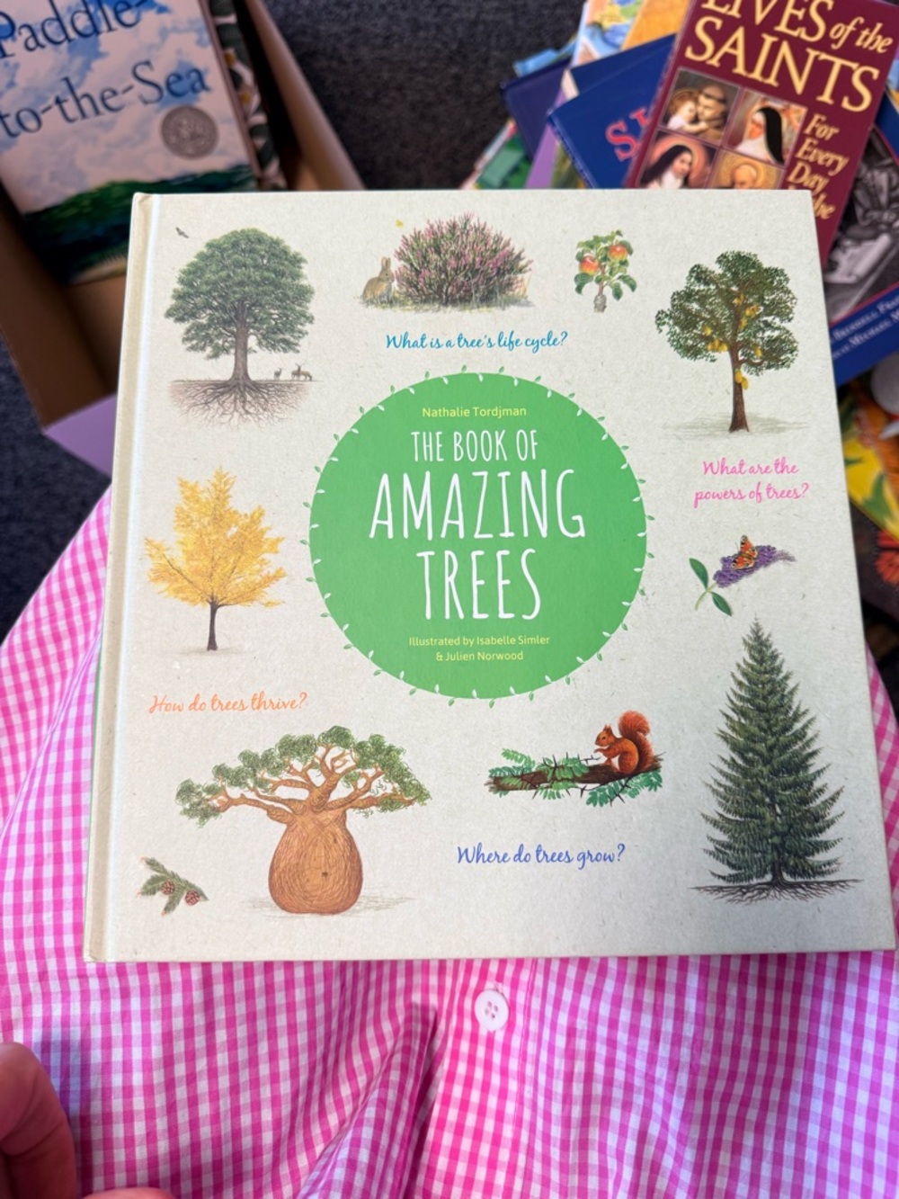 “Amazing Trees” non-fiction picture book